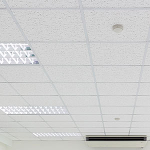 Acoustical Ceiling